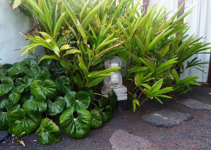 Couette-café El Inti