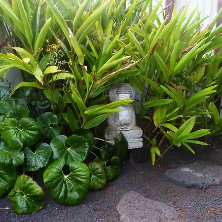 Bed & Breakfast El Inti